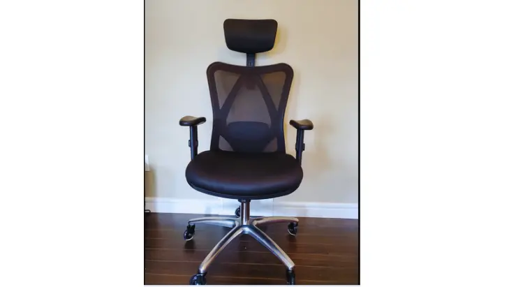 Duramont Ergonomic Office Chair-Best Office Chairs For Scoliosis