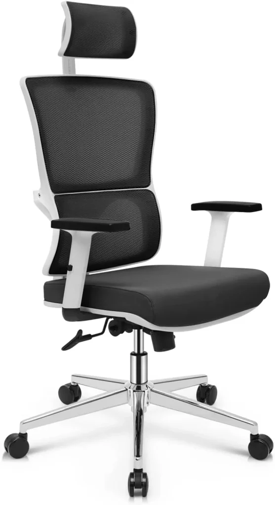 MoNiBloom Ergonomic Office Chair